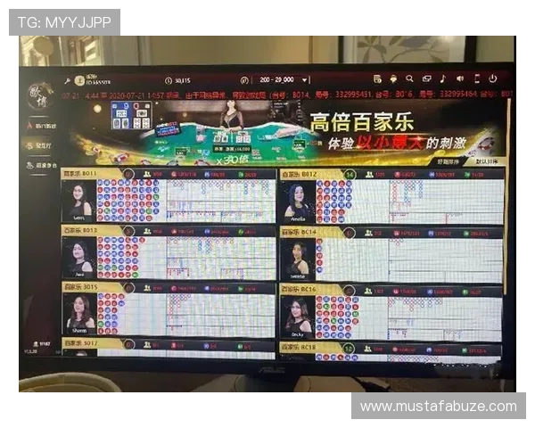 提升百家乐游戏胜率的利器——详解百家乐路单记录器的应用技巧